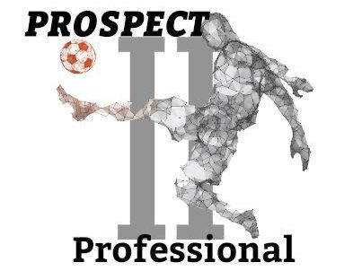 prospect2professional.com